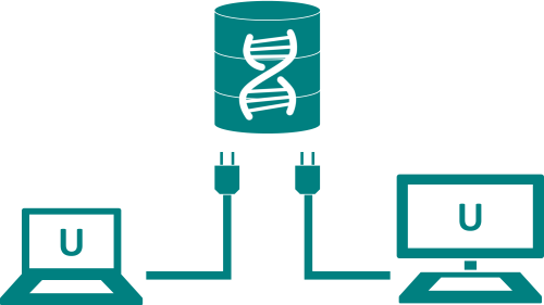 Utilizzare un database condiviso con Softshop